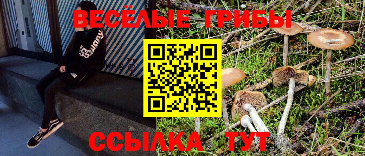Зеленокумск  Псилоцибиновые грибы Cubensis  даркнет сайт  Вход с VPN 